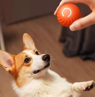 Bola de giro automático para cães - SmartDog Ball